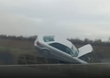 Mașină avariată după ce i-a sărit o căprioară în față