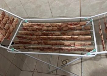 Poliția braziliană, imagini incredibile: a descoperit bani… literalmente spălați