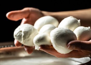 Căldura extremă lovește fermele din Italia: vacile produc tot mai puțin lapte, iar brânzeturile tradiționale sunt în pericol