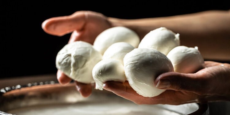 Căldura extremă lovește fermele din Italia: vacile produc tot mai puțin lapte, iar brânzeturile tradiționale sunt în pericol