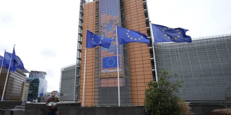 Fără vize cu intrări multiple pentru ruși