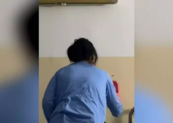 Caută gândacii din spital și nu îi găsesc. I-ați văzut?