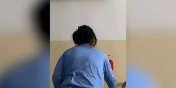 Caută gândacii din spital și nu îi găsesc. I-ați văzut?