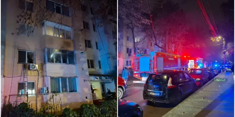 Proprietarul și doi câini au murit în incendiu