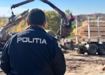 În arest pentru furt de lemne. Controale la Tismana și Novaci!