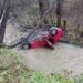 O mașină s-a răsturnat în râu