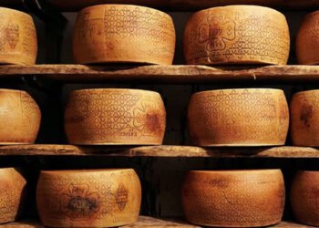 Italia: Au furat 200 de roți de brânză Parmigiano Reggiano, în valoare de peste 100.000 de euro