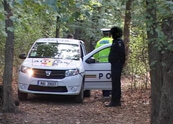 Au furat lemne, au fugit de polițiști și și-au dat foc la mașină!