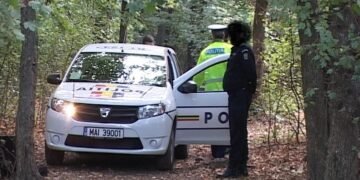 Au furat lemne, au fugit de polițiști și și-au dat foc la mașină!