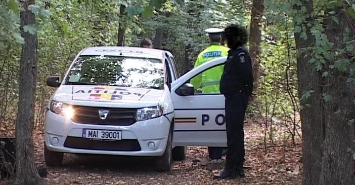 Au furat lemne, au fugit de polițiști și și-au dat foc la mașină!