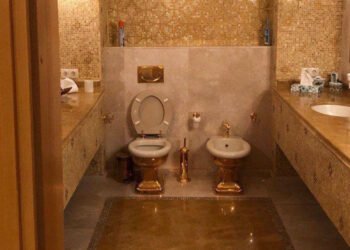 Scandal uriaș de corupție în Ucraina: percheziții, pungi cu bani și o… toaletă din aur