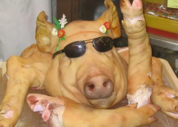 Ignatul, între tradiție și nevoia de ajutor: măcelarii „la comandă”, tot mai căutați în satele din Oltenia