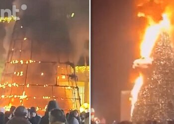 A luat foc bradul de Crăciun