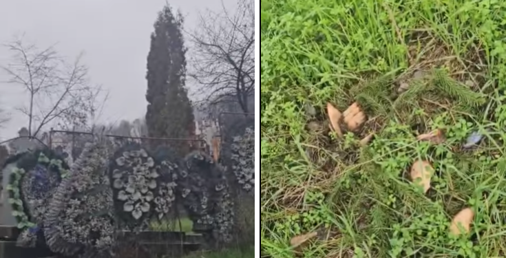 Scandal uriaș la Roșiuța: bradul crescut 15 ani „din seva morților” a dispărut în noaptea de Sfântul Nicolae