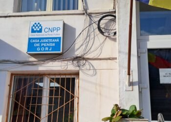 Sute de gorjeni s-au pensionat cu acte false