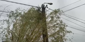 S-a electrocutat când s-a dat jos din mașină, pe un drum din Gorj