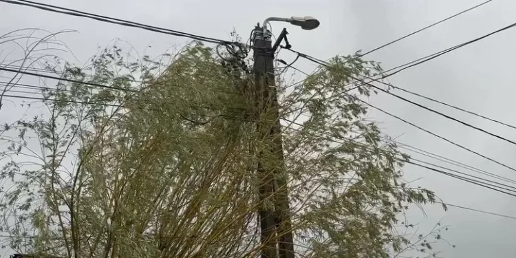 S-a electrocutat când s-a dat jos din mașină, pe un drum din Gorj