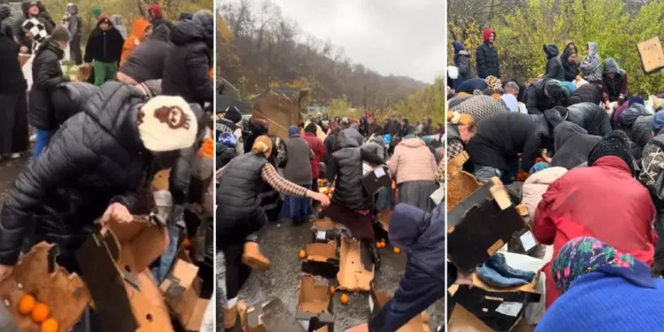 Camion răsturnat, oamenii adună portocalele