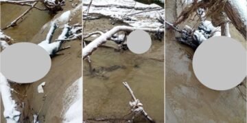 Găsit fără suflare în apele înghețate