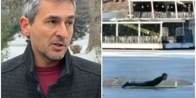 Eroii adevărați nu strigă. Ei luptă. Iar uneori au doar șase ani!