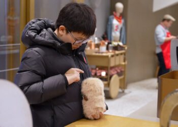 Tinerii din China își „adoptă” animale de companie AI. Alternativa digitală la familie și copii