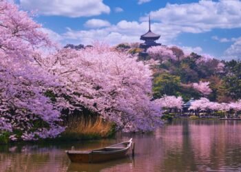 Japonezii au anulat festivalul florilor de cireș