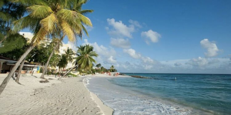 Insula de corali St. Martin va fi închisă turiștilor timp de 9 luni. Autoritățile vor să salveze un ecosistem unic