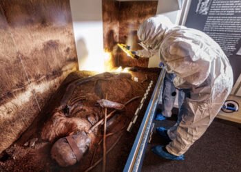 Misterul mumiilor din mlaștină: 60 de corpuri vechi de 2.000 de ani rescriu istoria triburilor germanice