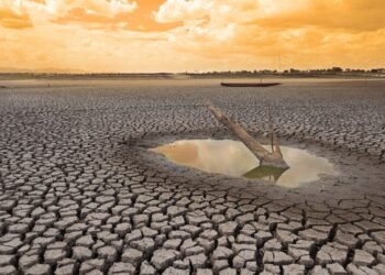 Alarmă climatică globală! Semne clare că El Niño revine: planeta riscă un nou val de căldură record