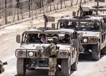 Avioane militare israeliene ar fi pulverizat substanțe chimice pe culturile din Siria