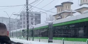 Adolescentă de 16 ani, electrocutată după ce un copac a doborât firele de tensiune