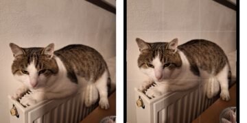 Truc genial ascuns pe telefoanele Samsung! Funcția din Galerie care îți transformă pozele în „artă” fără efort