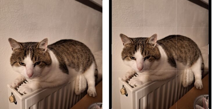 Truc genial ascuns pe telefoanele Samsung! Funcția din Galerie care îți transformă pozele în „artă” fără efort