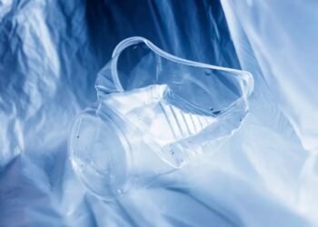 150 de morminte COVID vor fi deschise după cinci ani