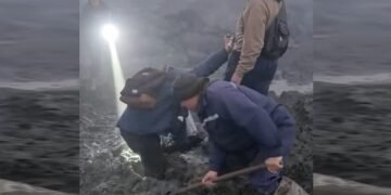 Un nou val de concedieri în luna august, la CE Oltenia