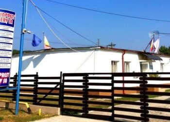 Îi dau afară din CEO, dar i-ar angaja la Minprest, pe salarii la jumătate