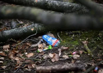 Vânătoarea ouălor de Paște a luat trei vieți