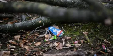 Vânătoarea ouălor de Paște a luat trei vieți