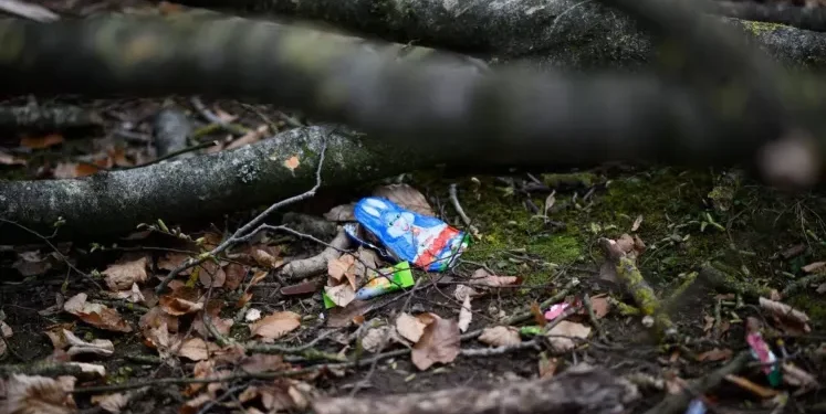 Vânătoarea ouălor de Paște a luat trei vieți