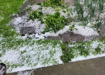 Nori de grindină în Gorj, Olt și Argeș
