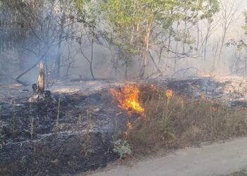 A murit carbonizată într-un incendiu de vegetație