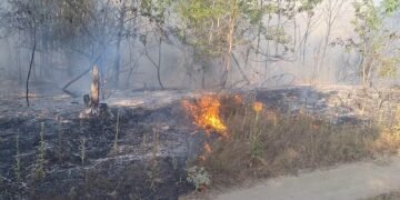 A murit carbonizată într-un incendiu de vegetație