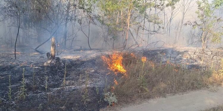 A murit carbonizată într-un incendiu de vegetație