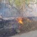 A murit carbonizată într-un incendiu de vegetație