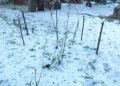 Războiul antigrindină în Oltenia: fermierii se ceartă pe ploaie