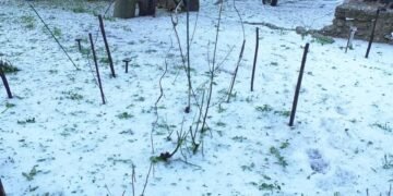 Războiul antigrindină în Oltenia: fermierii se ceartă pe ploaie