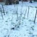 Războiul antigrindină în Oltenia: fermierii se ceartă pe ploaie