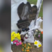 Mister înfiorător la mormântul tinerei ucise de Emil Gânj! Lanț pe cruce și șosete bărbătești au băgat spaima în familie