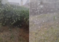 Culturi distruse de grindină în doar 20 de minute