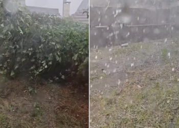 Culturi distruse de grindină în doar 20 de minute